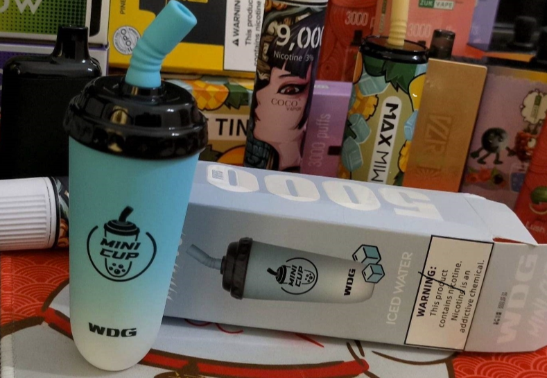 --wdg奶茶杯在哪能買到？