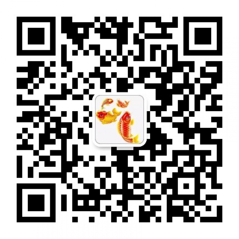 --正品一手貨源渠道綠蘿 魔笛 柚子YOOZ 悅刻 代理微商