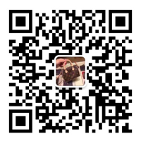 微信shiwu78100頂級奢侈品包包貨源廣州真皮包包批發(fā)工廠直銷微信二維碼