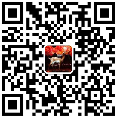 Lv Reykjavik圍巾可用一輩子的羊絨圍巾披肩，代購級別微信二維碼